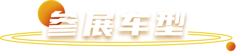 43945澳网