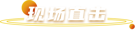 43945澳网