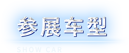 43945澳网
