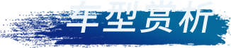 43945澳网