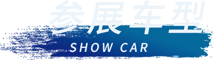 43945澳网