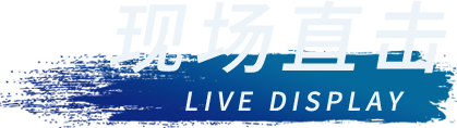 43945澳网
