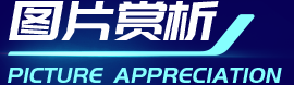 43945澳网