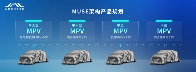 43945澳网