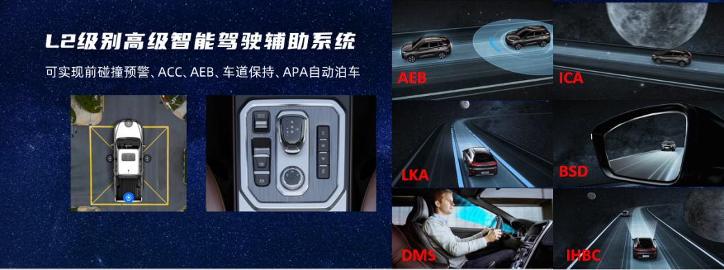 43945澳网
