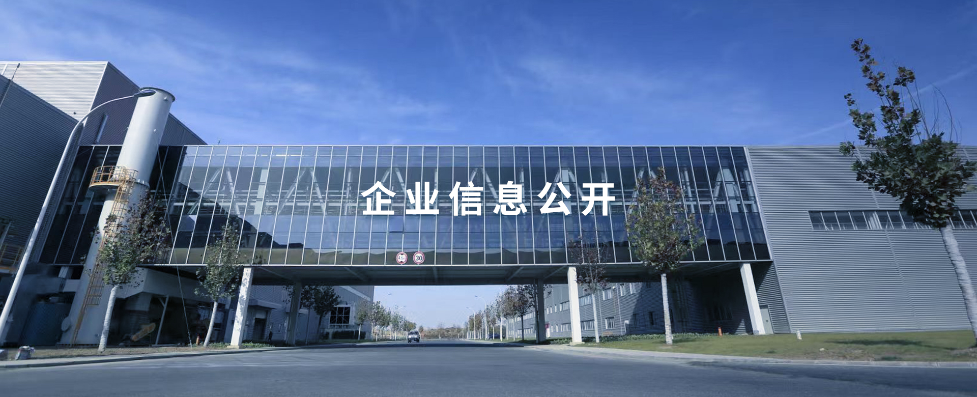 43945澳网